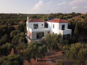 Stylish villa with views to Foinikounta bay